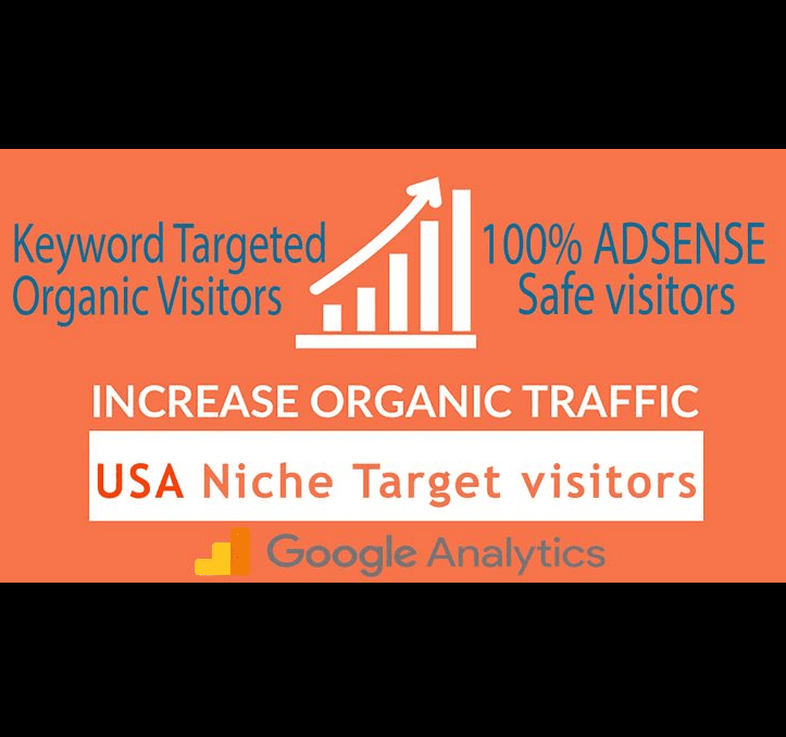 Buy organic search traffic in NYC & USA