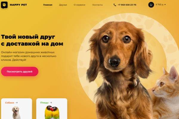 Website development for a pet store in NYC & throughout the USA